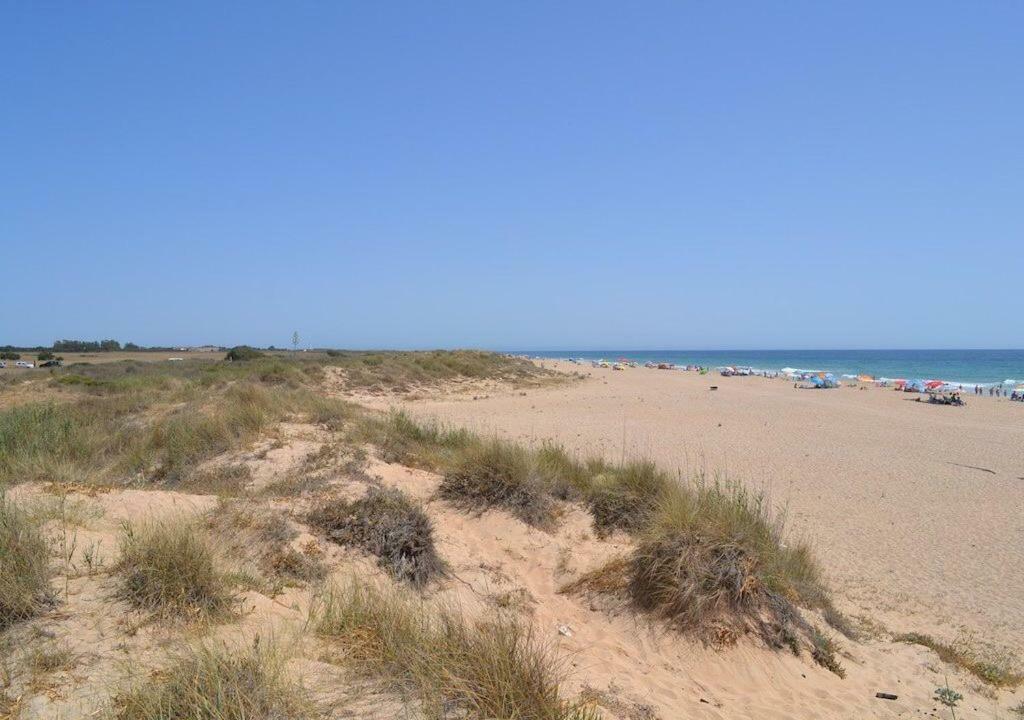 Gasthaus Chozito De Paja A 300M. Playa Mangueta El Palmar de Vejer Exterior foto